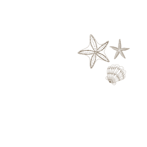 Cabo Beach Weddings